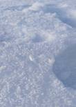 20230119_105817 (Large).jpg (282907 bytes)